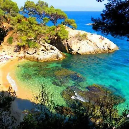 Daire Coquette A 50 Metros De La Playa *
