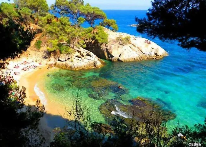 Daire Coquette A 50 Metros De La Playa *