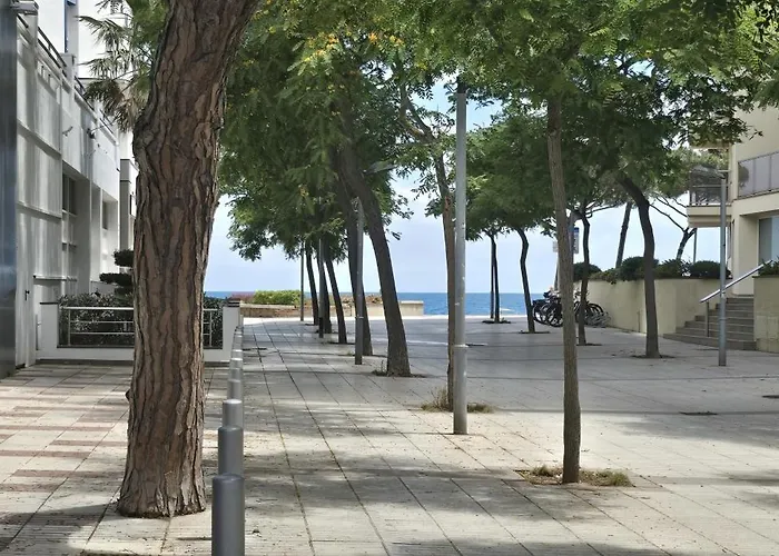 Coquette A 50 Metros De La Playa